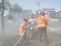 Kemarau, Kebakaran Lahan Kosong Meningkat