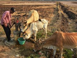 Anggaran BTT Terkuras, Kekeringan Masih Melanda 47 Desa di Kabupaten Bekasi