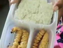Bawa Bekal Nasi Lauk Ulat ke Sekolah, Siswa SD Diejek Guru   