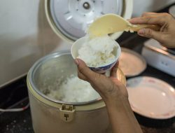 Tuai Keraguan di Mata Masyarakat, Program Rice Cooker dari Pemerintah Diprediksi Mangkrak