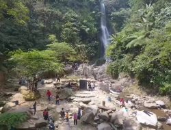 Nikmati Keindahan Wisata Pengunungan dan Kopi Robusta Sanggabuana, Wujud Pemberdayaan Desa BRILiaN   