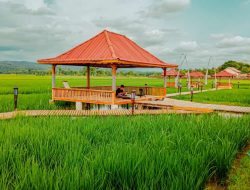 3.718 Desa Aktif Berkomitmen untuk Maju! Ini Desa BRILian Terbaik yang Siap Bersaing di Nugraha Karya 2023