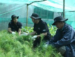 Jaga Kelestarian Danau Toba, BRI Peduli “Grow & Green” Tanam 2.500 Bibit Pohon di Samosir      