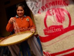 Pembelian Beras Premium Dibatasi