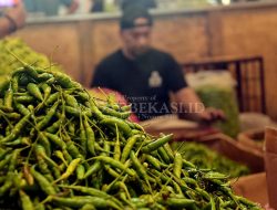 Warga Bekasi Konsumsi Cabai Busuk