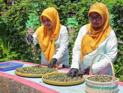 Berkat “BRInita”, Teh Herbal jadi Produk Unggulan Poktan Bensor Semarang   
