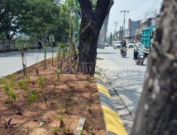 Pembangunan RTH Harus Diprioritaskan