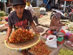 Harga Cabai Cekik Pengusaha Warteg