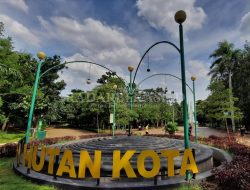 Bebenah Taman Sebelum Perayaan Tahun Baru