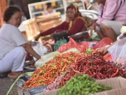 Harga Cabai Turun