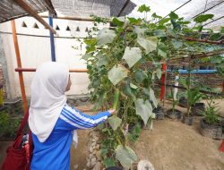 Warga Tuminting dan BRI Ubah Lahan Timbunan Sampah jadi Lahan Urban Farming ‘BRInita’