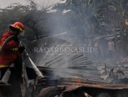 Kompleks Rongsokan Membara