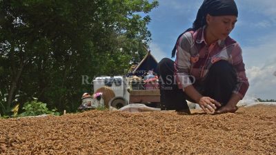 Camat Pebayuran Bekasi: Warga Miskin Ekstrem Jangan Selalu Diberikan Bantuan
