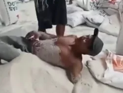 Viral, Pria Telanjang Dada Guling-guling dan Diguyur Beras, Ternyata di Gudang Bulog Surabaya, Netizen: Pantas Beras Bulog Bau Apek
