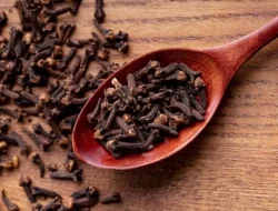 Manfaat Cengkeh bagi Kesehatan, Atasi Masalah Pencernaan Hingga Pereda Nyeri