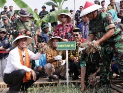 Mentan dan KSAD Panen Bawang Merah dengan Pendapatan Rp6 Miliar di Cibitung