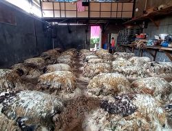 Tempat Pengepulan Kulit Hewan di Cikarang Diserbu Masyarakat Usai Iduladha