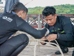 BRI Menanam Grow & Green Bantu Jaga Ekosistem Laut dan Kembangkan Potensi Wisata Daerah