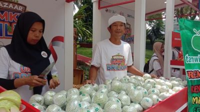 KUR BRI Dorong Kemajuan Klaster Jambu Kristal di Purworejo