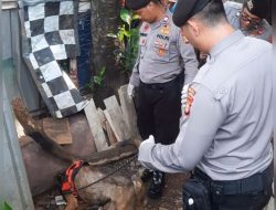 Polisi Terjunkan Anjing Pelacak di Rumah Pembunuh Anak di Bantargebang, Ini Hasilnya