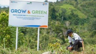 Maknai Hari Lingkungan Hidup Sedunia, BRI Pulihkan Ekosistem dan Lawan Perubahan Iklim Melalui Program BRI Menanam – Grow & Green