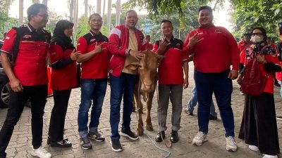 Momen Iduladha, Bacawalkot Bekasi Tri Adhianto Bagikan 60 Ekor Sapi dan 36 Ekor Kambing   