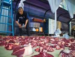 Peternak Kambing Ini Banjir Pembeli dari Berbagai Daerah, Sukses Kembangkan Usaha Berkat Pemberdayaan BRI   