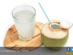 Manfaat Air Kelapa, Halau Radikal Bebas hingga Cegah Pembentukan Batu Ginjal