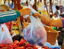 DLH Pantau Penggunaan Plastik saat Idul Adha