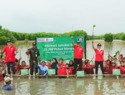 Alfamart Tanam 25 Ribu Bibit Pohon Mangrove Cegah Abrasi di Muaragembong
