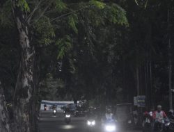 Warga Kota Bekasi Diminta Laporkan Pohon Berpotensi Bahaya ke DBMSDA   