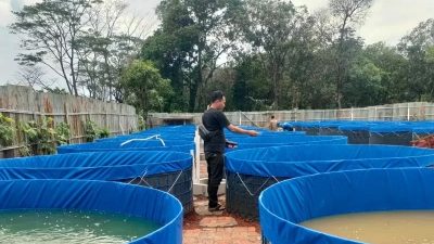 Pelaku Usaha Perikanan di Kabupaten Bekasi Butuh Regulasi