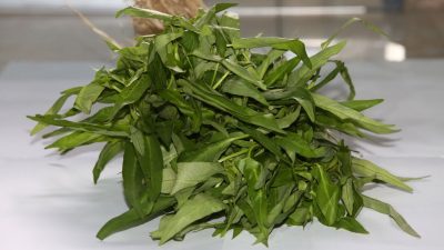 Bukan Bikin Lemes, Kangkung Justru Bisa Atasi Anemia Hingga Tingkatkan Kekebalan Tubuh