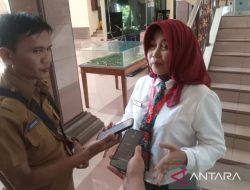 Ramai Dikritik, Pemkab Cirebon Ganti Nama Aplikasi Sipepek Jadi Sipepeg