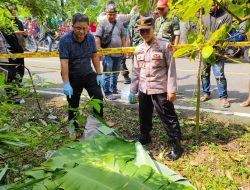 Potongan Tubuh Manusia Ditemukan di Pinggir Jalan Cibalong, Warga Geger