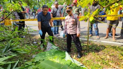 Potongan Tubuh Manusia Ditemukan di Pinggir Jalan Cibalong, Warga Geger