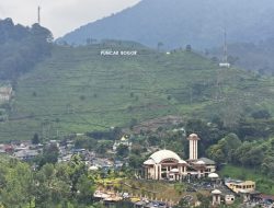 Rencana Habiskan Akhir Pekan di Puncak, Ini Rekomendasi Penginapan Strategis dengan Harga Terjangkau