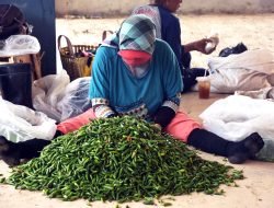 Harga Pangan Tingkat Pedagang di Kabupaten Bekasi Bergejolak