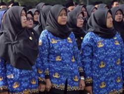 Anggaran PPPK Rp850 Miliar Masuk KUA-PPAS 2025