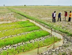 Pemenang Pilkada Diminta Komitmen Perhatikan Petani
