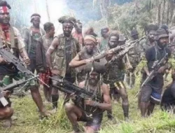 KKB Bakar Helikopter dan Bunuh Pilot Warga Negara Selandia Baru