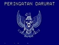 Ramai Postingan Garuda Biru “Peringatan Darurat” di Tengah Isu Ambang Batas Pencalonan Kepala Daerah, Ini Maknanya