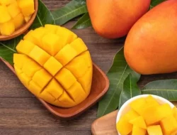 Kaya Manfaat, Buah Mangga Bisa Tingkatkan Kesehatan Pencernaan Hingga Kulit