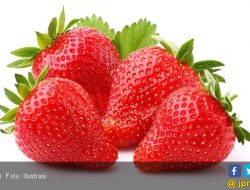 4 Buah Ini Punya Manfaat Atasi Sembelit