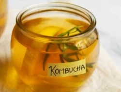Peneliti UGM Ungkap Manfaat Kombucha Cabe Jawa, Bisa Sembuhkan Diabetes Hingga Alzheimer