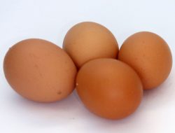 Begini Cara Konsumsi Telur Agar Nutrisi dan Protein Terserap Lebih Optimal