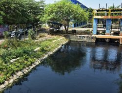 Tercemar Sedang, Kali Cilemahabang Disebut Masih Bisa Dimanfaatkan