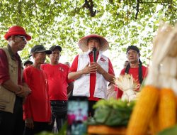 Hadiri Panen Raya Jagung di Mustikasari, Tri Adhianto Didaulat Cawalkot Bekasi Paling Peduli Petani