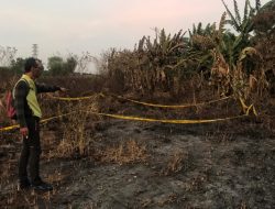 Warga Digegerkan Penemuan Kerangka Manusia di Lahan Kosong, Polisi Ungkap Identitasnya