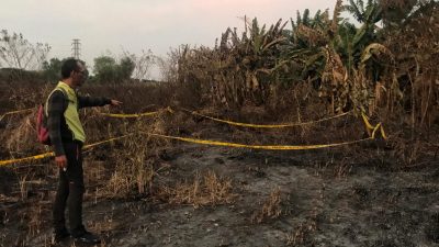 Warga Digegerkan Penemuan Kerangka Manusia di Lahan Kosong, Polisi Ungkap Identitasnya
